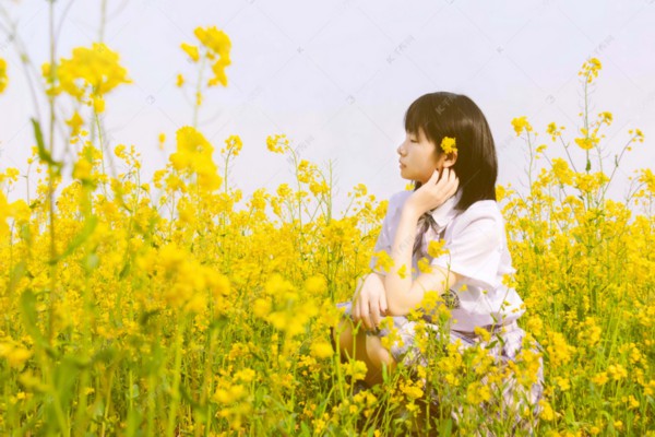 武汉冬日，泡一壶茶，享受慢生活的温暖时光